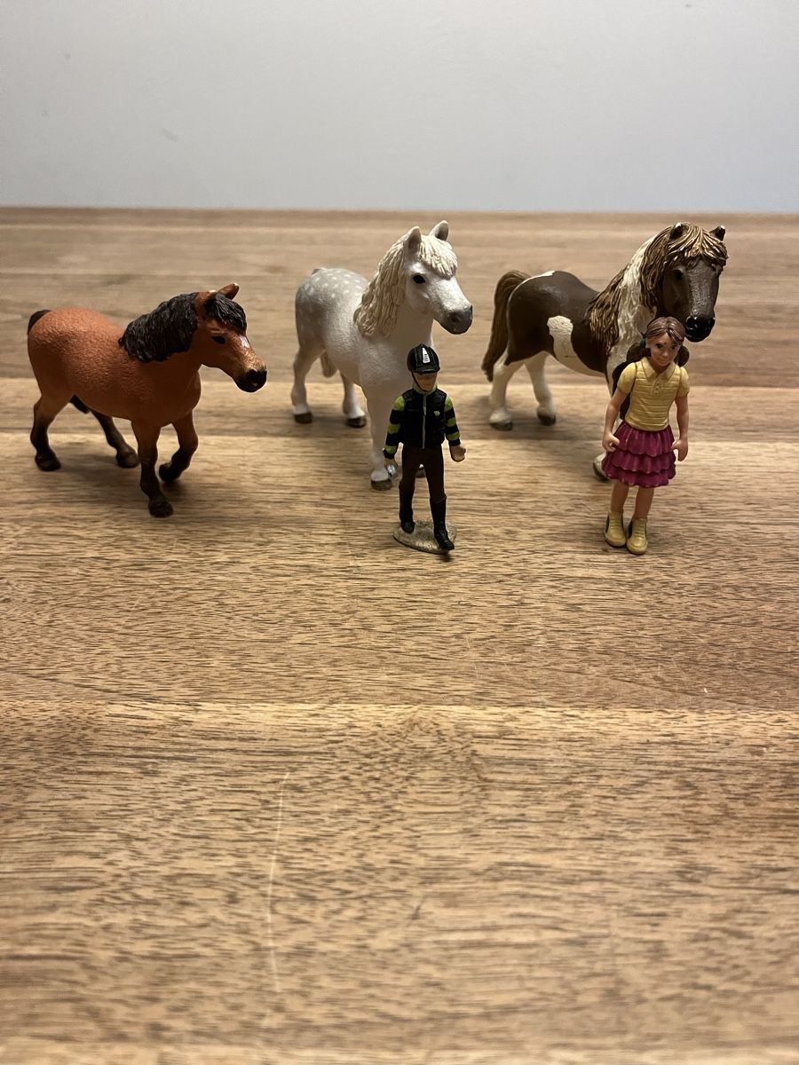 Schleich Giocattoli: Ponyset zu verkaufen – Usato da Weesen venduto da D0101D 7