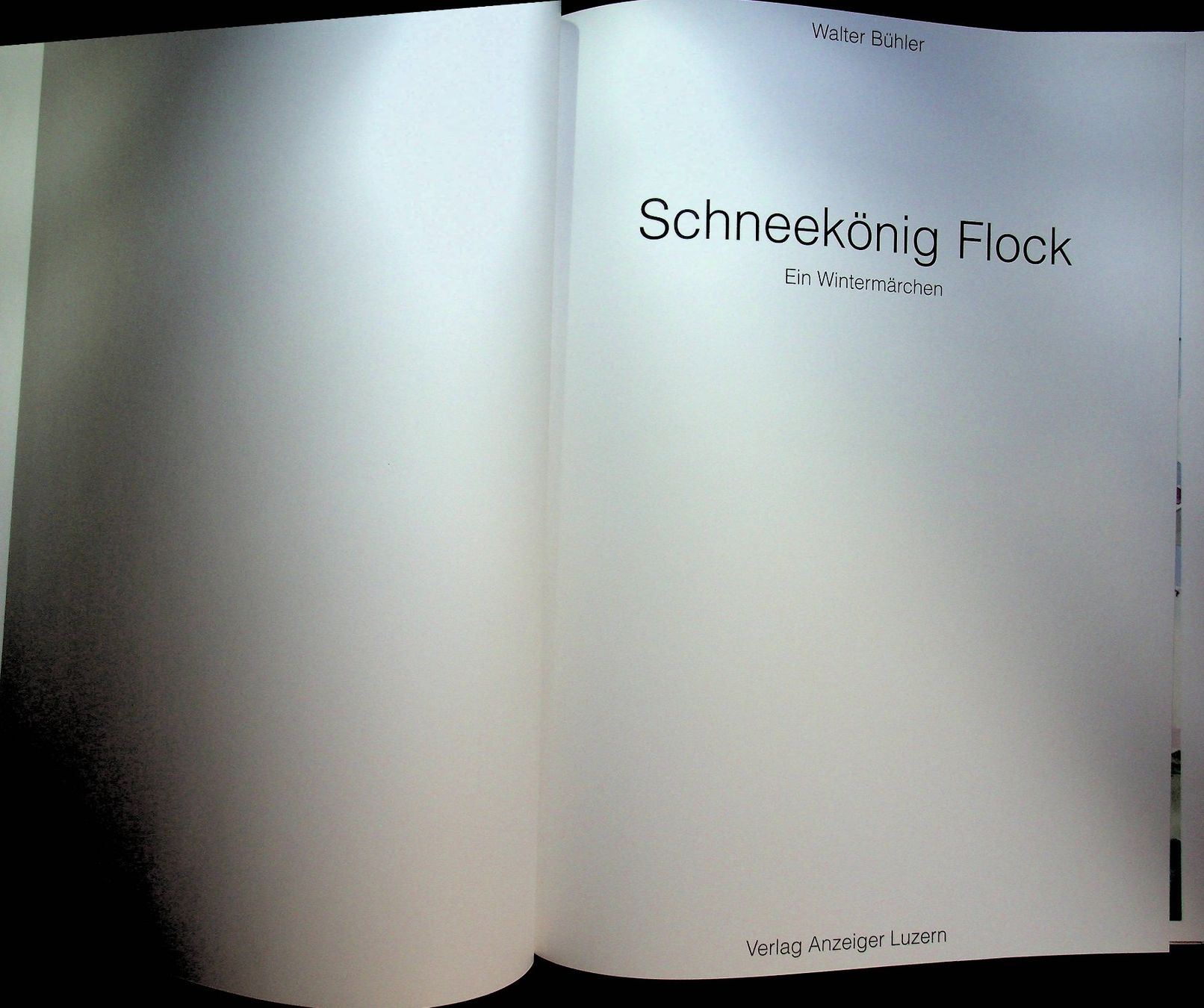Bücher: Walter Bühler Schneekönig Flock / RAR – Gebraucht aus Reitnau von Zaomir 2