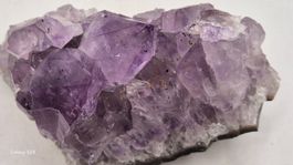 Amethyst druse Natur extra Brasilien (646)