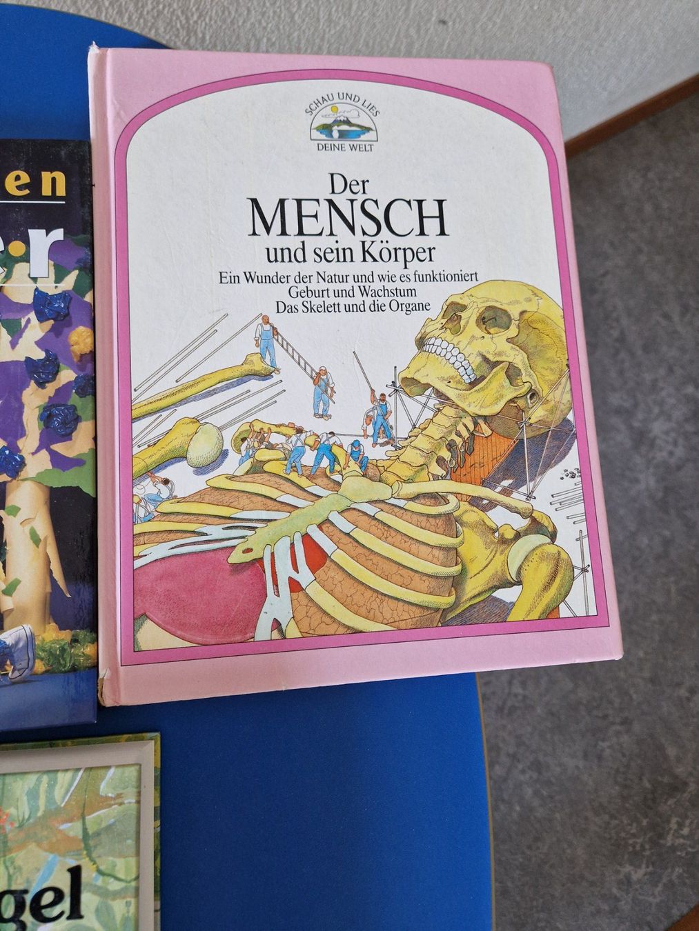 Bücher: 7 Stk. Kinder-/Jugendbücher – Gebraucht aus Münchenbuchsee von Aare22 5