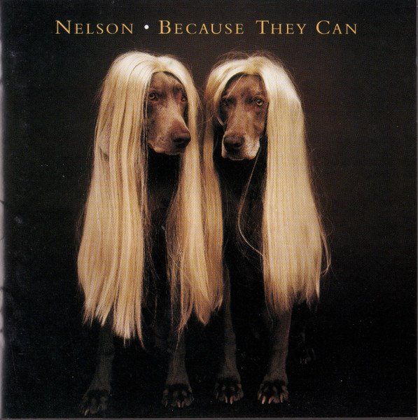 CDs: Nelson – Because They Can – Gebraucht aus Sargans von Soraya3