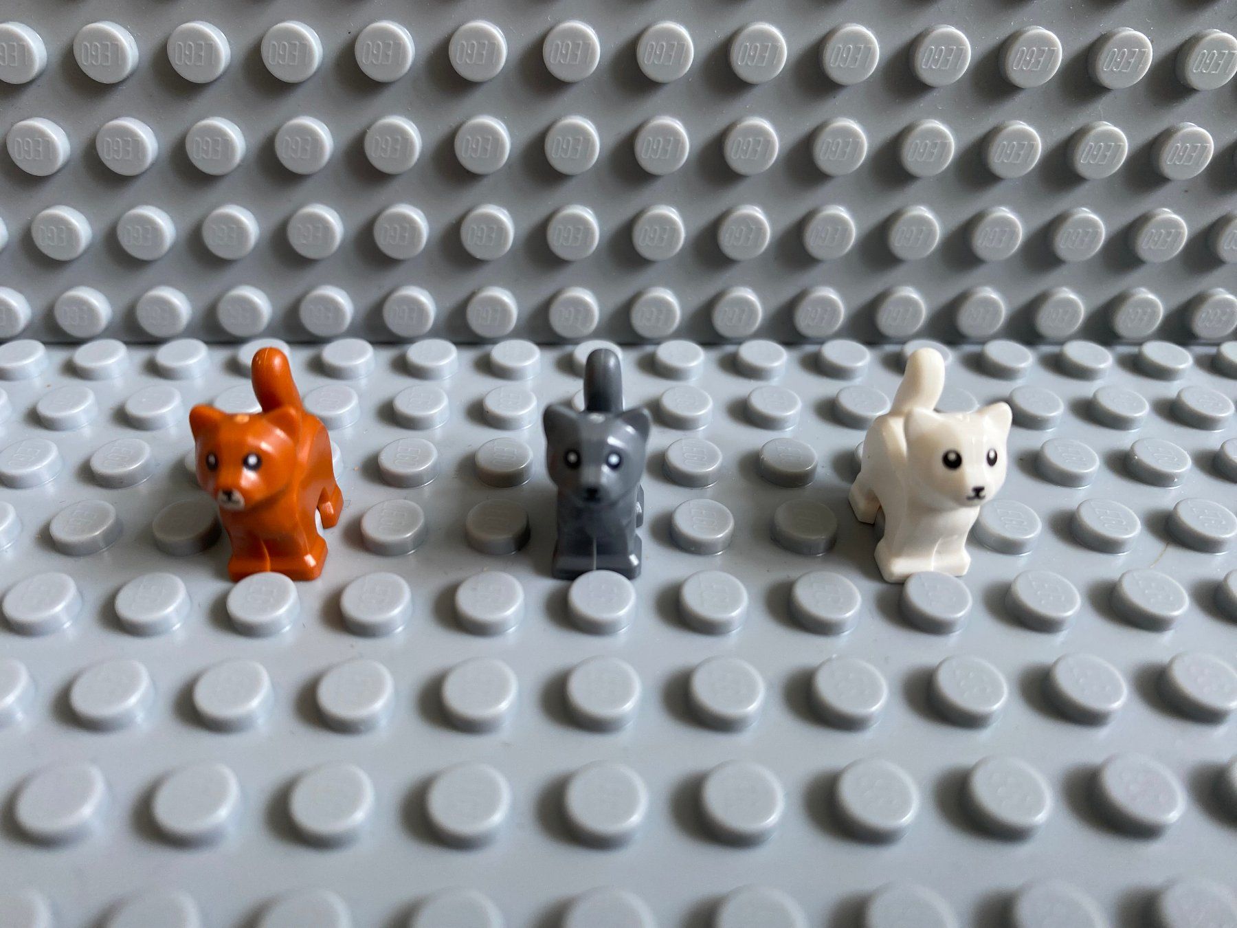 Lego Baukästen: Lego Tiere - 3 Katzen Babys – Neu (gemäss Beschreibung) aus Horw von G39517sG 2