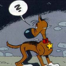 Profile image of ma-truffe