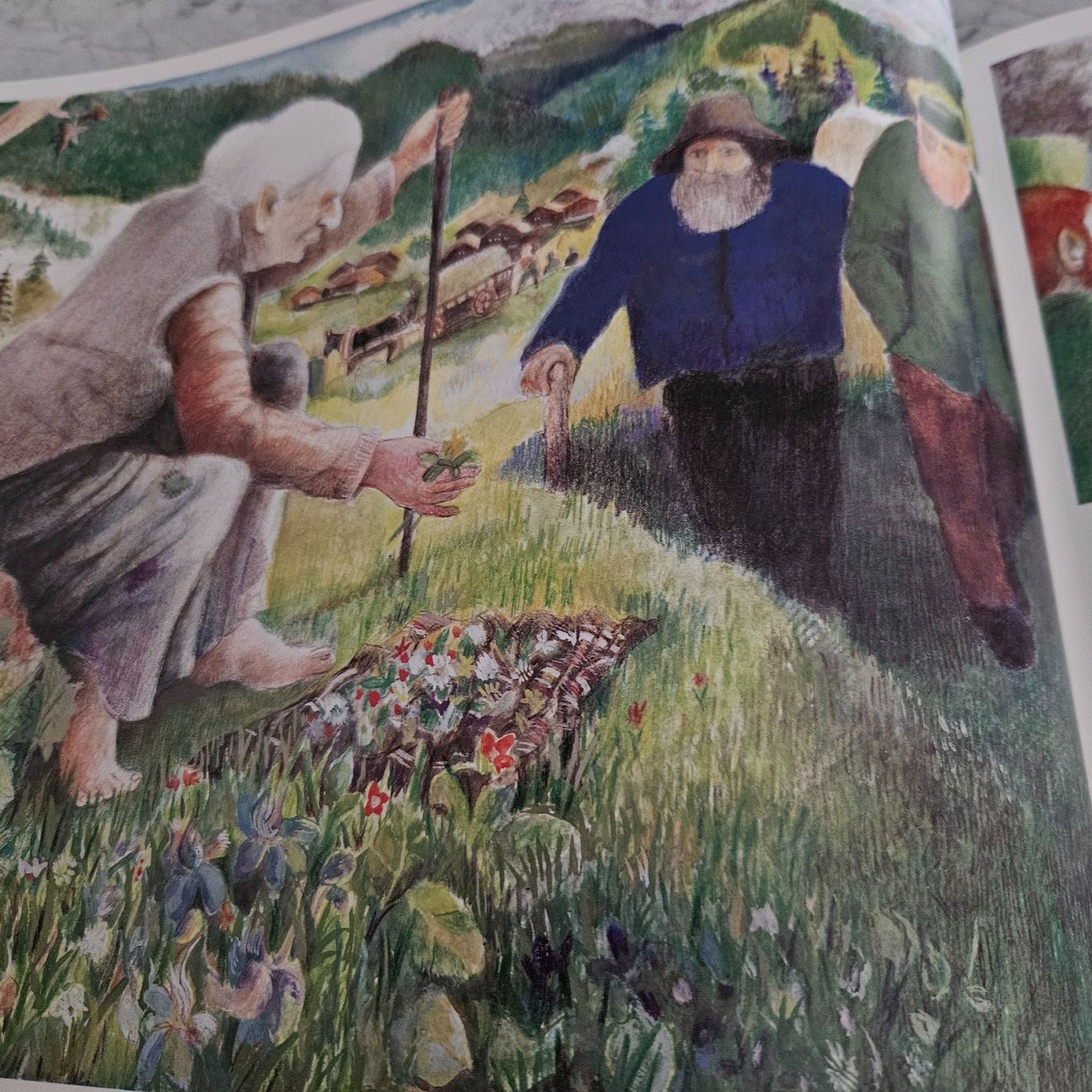 Libri: MANNLI    Werner Jutzeler – Nuovo (secondo la descrizione) da Uster venduto da Sonnenblume212 5