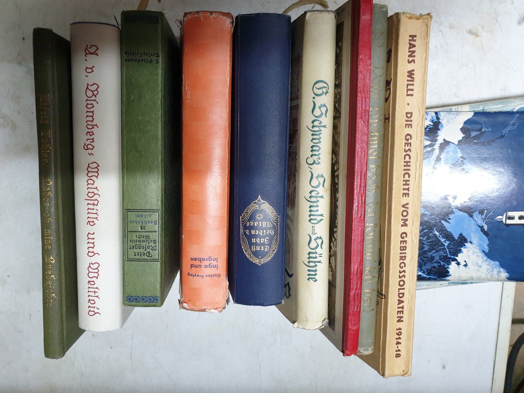 Libri: Antike Bücher – Usato da Schönengrund venduto da lia_t65g 2