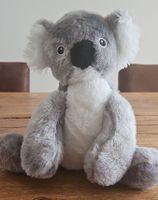 Plüschtier Koala neu