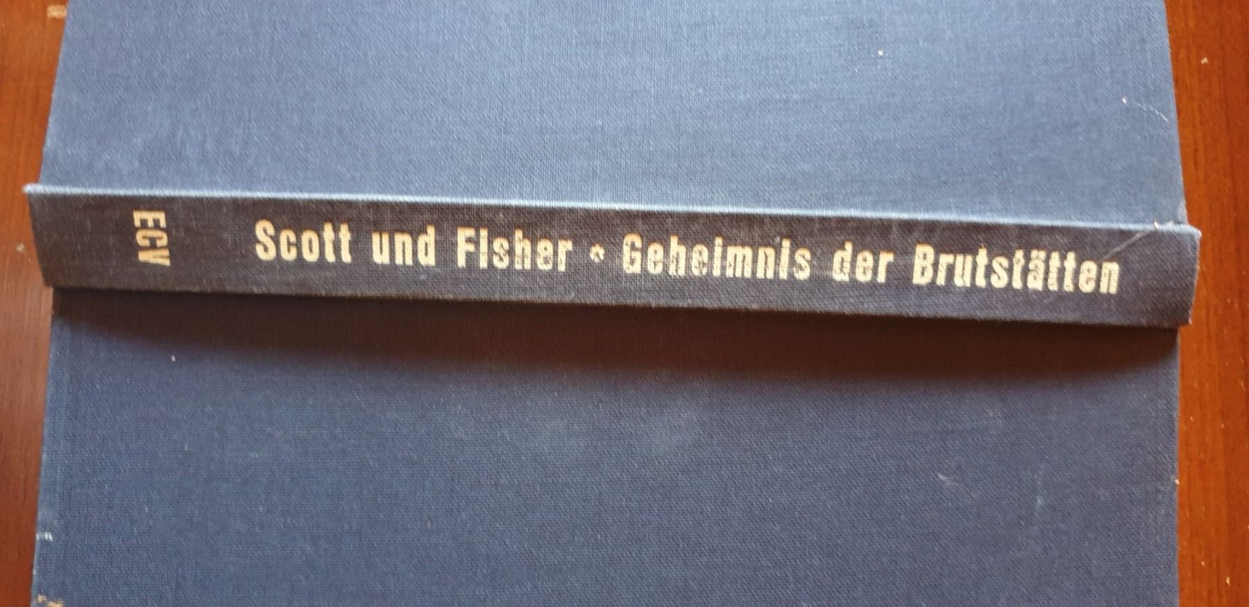 Libri: Vogelkunde Bücher antik – Usato da Wildhaus venduto da enzian66 1