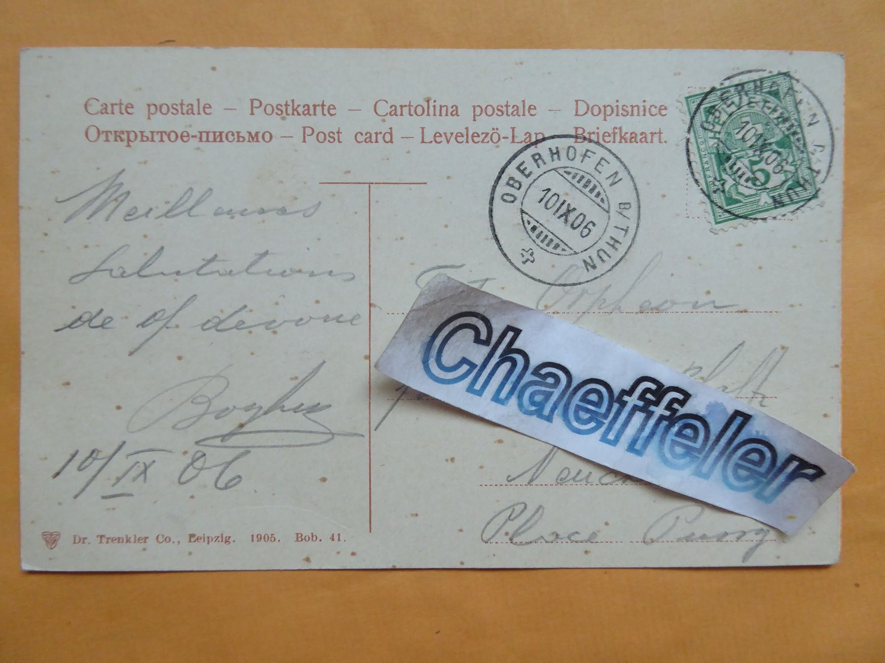 Cartoline postali: 1906  Am Thunersee – Usato da Zürich venduto da Chaeffeler 1