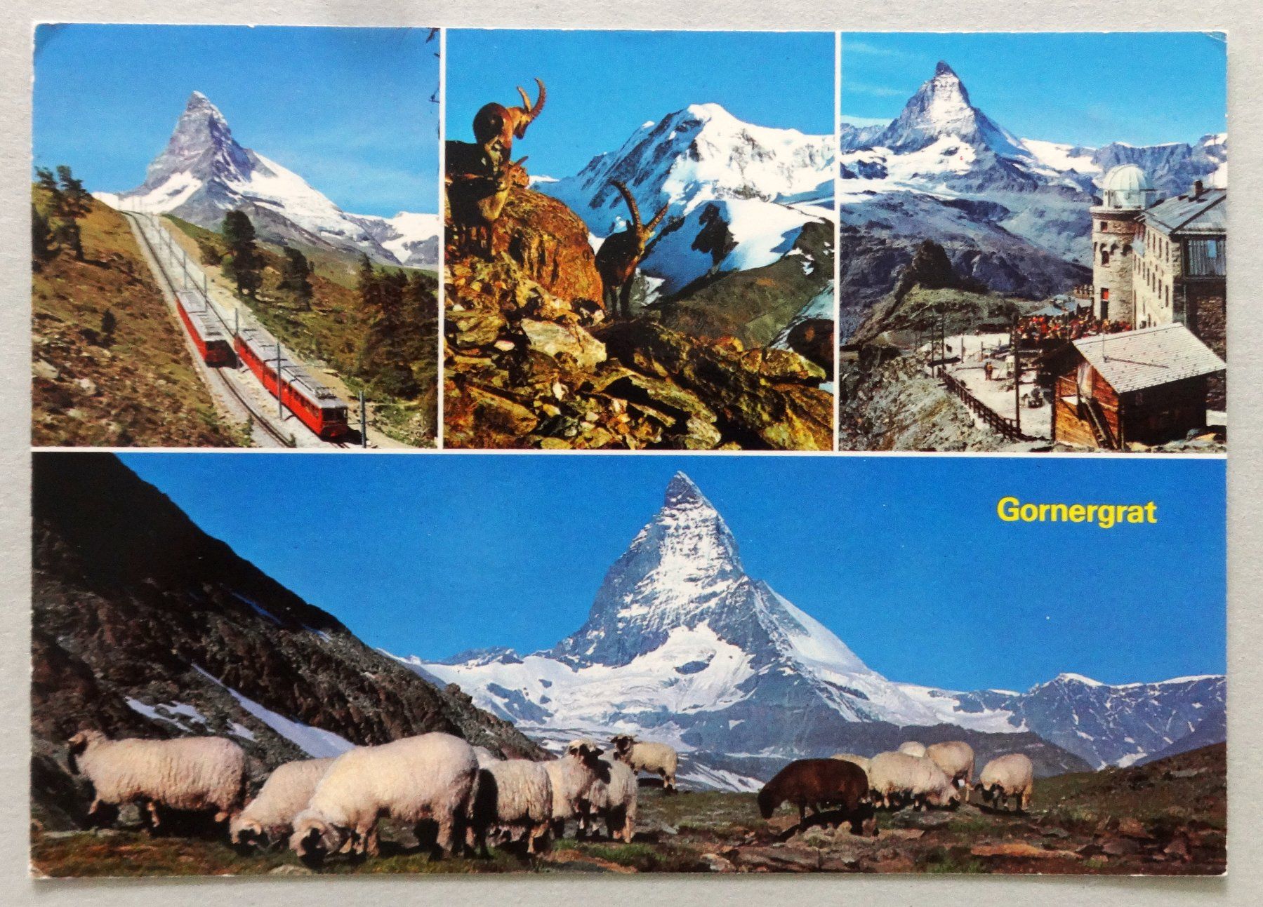 Cartoline postali: Gornergrat – Usato da Fétigny venduto da Billy2miny
