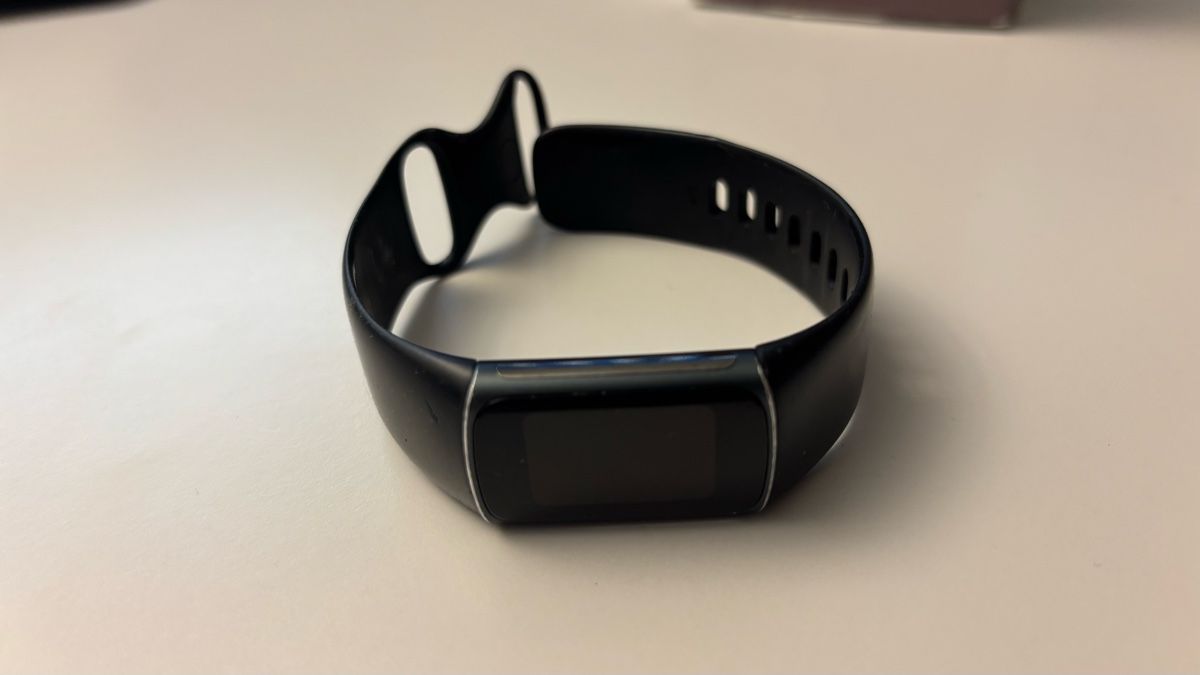 Fitbit Smartwatch: Fitbit Charge 5 Fitness Tracker – Usato da Uettligen venduto da urbaner1 1