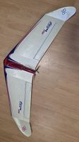 RC Nurflügler (Elektro oder Segler)