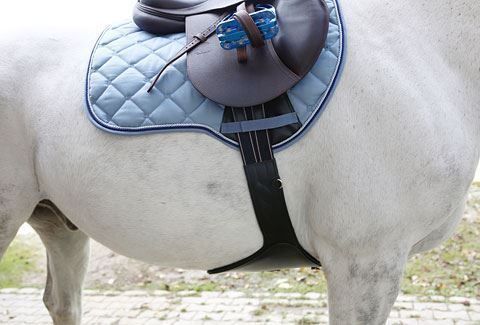 Selle & Accessori: Pferde-Sattel-Stollengurt / in der Länge:140cm – Nuovo e nell'imballaggio originale da St. Gallen venduto da schnaeppchen-preise 2