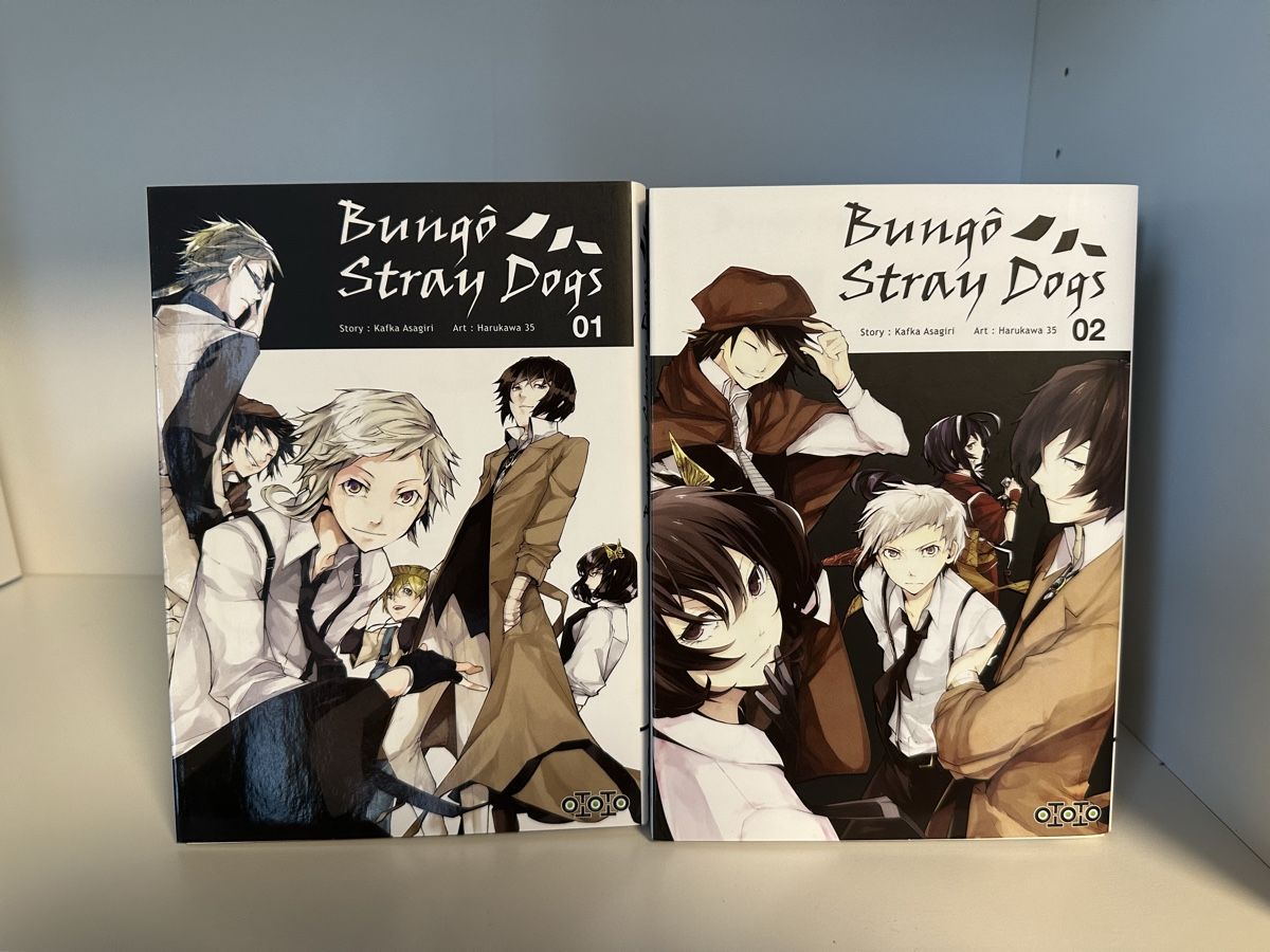 Fumetti: Manga Bungo stray dogs – Nuovo (secondo la descrizione) da Corgémont venduto da Chloesellsthings 1