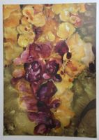 Bild von Karin Bucher