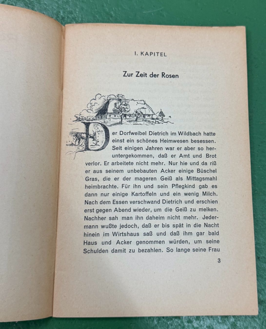 Libri: Johanna Spyri: Rosenresli – Usato da Basel venduto da Ostschweiz06 1
