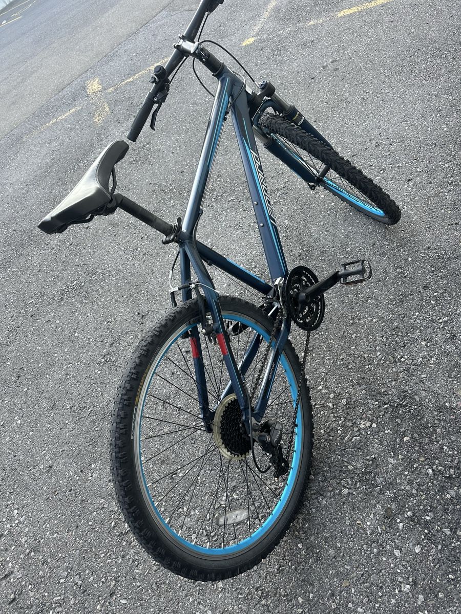Leopard Biciclette: Mountainbike Leopard 26 Zoll – Usato da Heerbrugg venduto da sha_6bxl 2