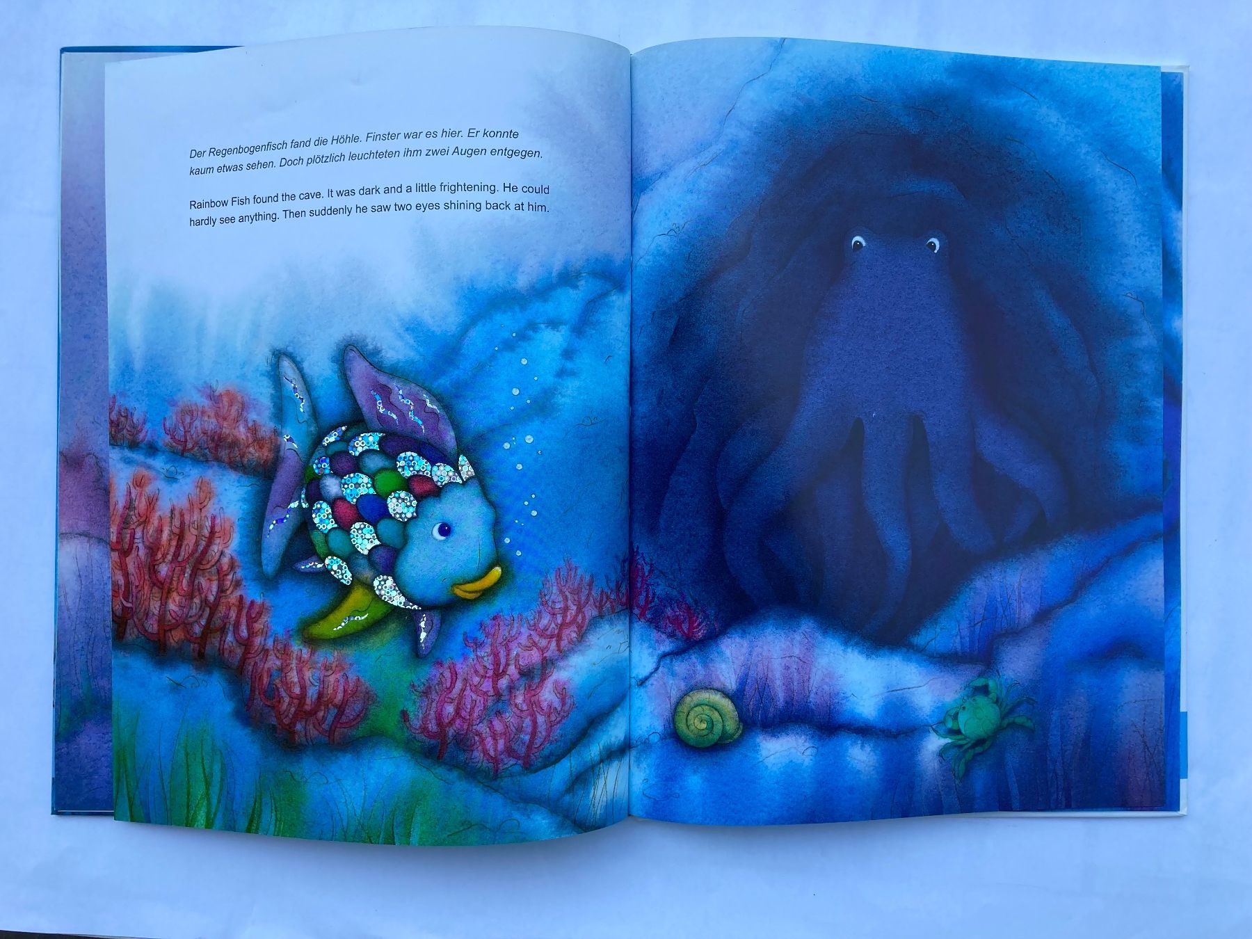Bücher: DER REGENBOGENFISCH - THE RAINBOW FISH – Neu (gemäss Beschreibung) aus Bubendorf von Alpenheidi 9