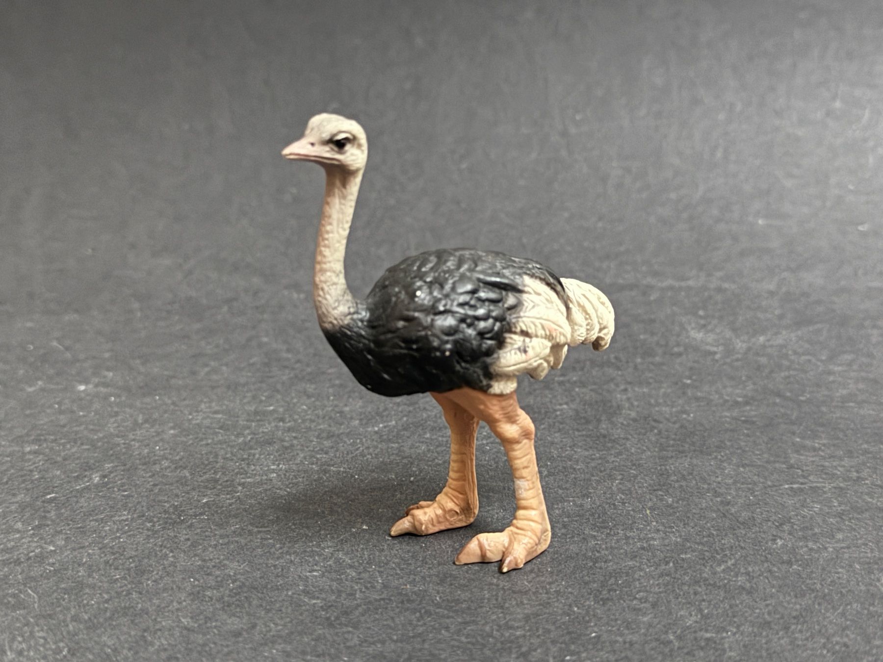 Schleich Statuette: Schleich Strauß  Strauss – Usato da Ennetbaden venduto da mapa05 2