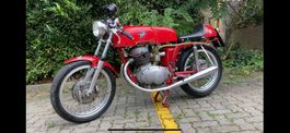 MV Agusta 250 B sport