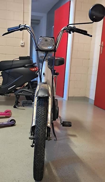 Mofas: Piaggio CIAO – Gebraucht aus Wängi von fed_j5kl 1