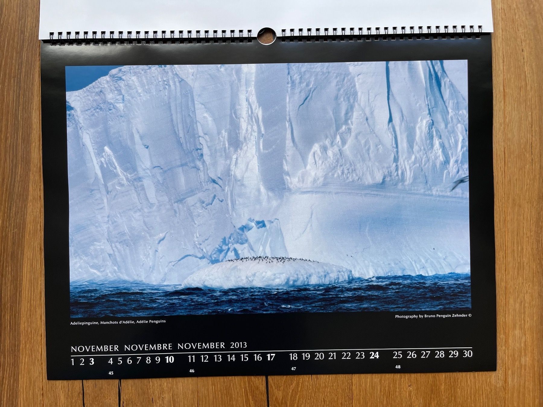 Kalender: Pinguin-Kalender (Bruno Zehnder) – Neu und originalverpackt aus Volketswil von doughboy 8
