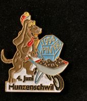Pin Hunzenschwil