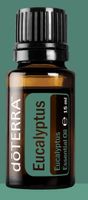 DoTerra Eucalyptus Öl, 15ml - Erfrischug für jede Jahreszeit