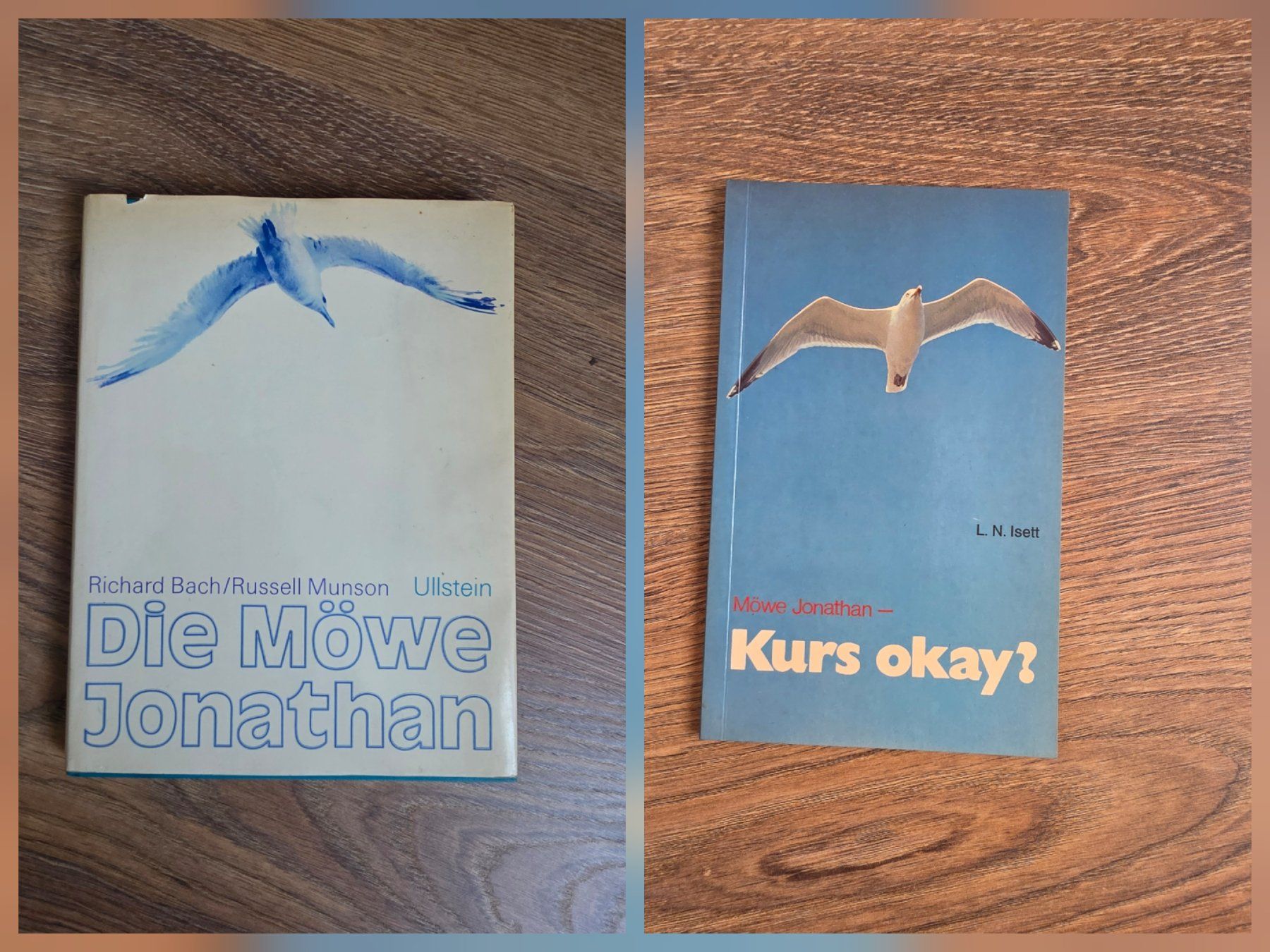 Libri: Die Möwe Jonathan - R. Bach / R. Munson & Kurs okay? - Isett – Usato da Nebikon venduto da Japostyle_2
