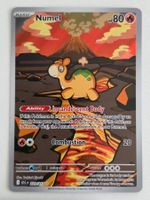 Pokemon Numel 223/217 Ascended Heroes EN