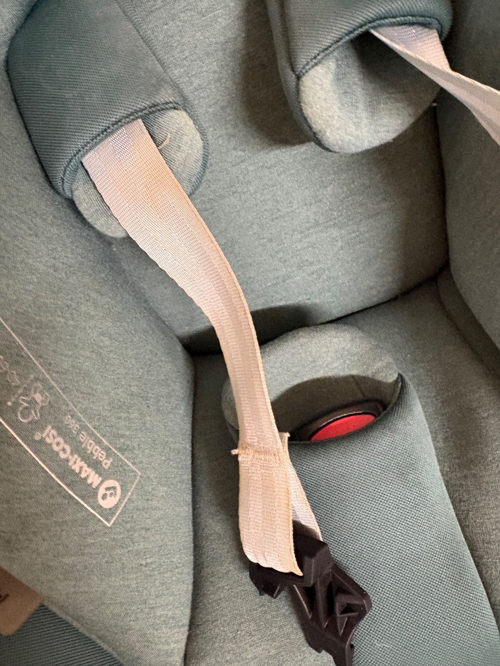 Maxi-Cosi Auto-Kindersitze: Maxi Cosi Pebble grün – Gebraucht aus Bern von sarahhschaer 2