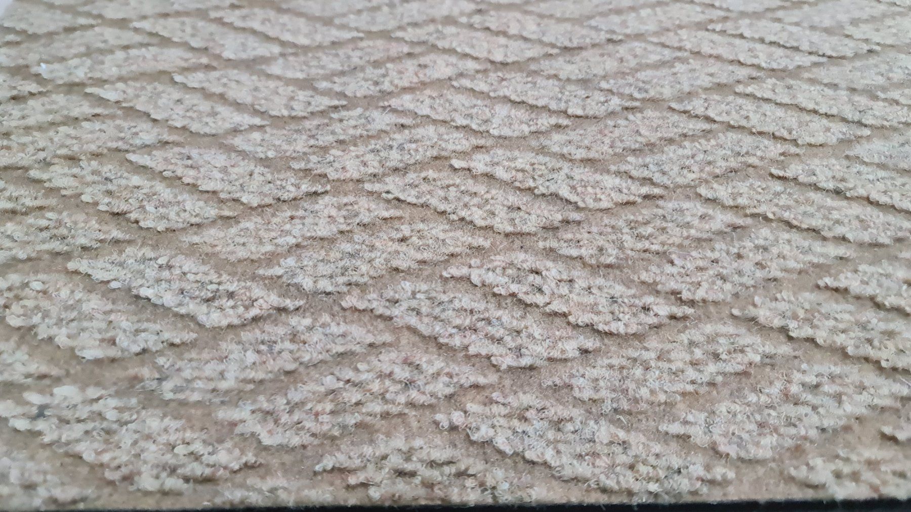 Tappeti: 4 Stück Fussmatte Eingangsteppich ca.40x60cm – Nuovo (secondo la descrizione) da Uerkheim venduto da Kaufoption 1