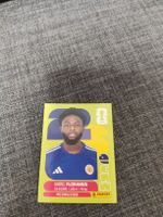 panini CUW 4
