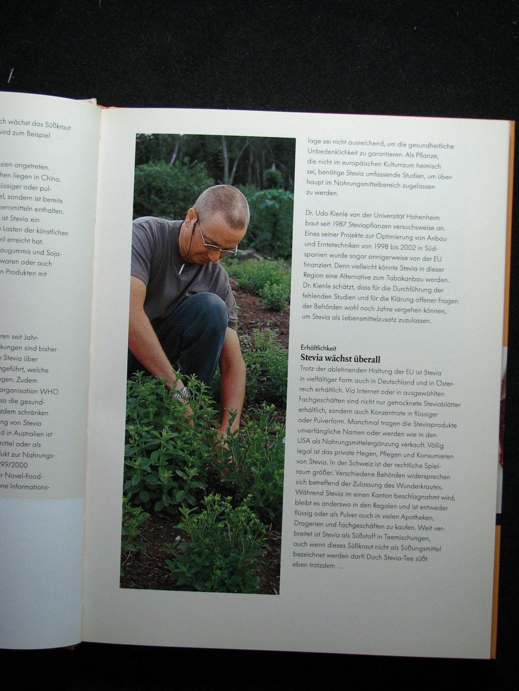 Libri: Brigitte Speck Stevia - Süssen mit dem Wunderkraut – Usato da Reitnau venduto da Zaomir 3