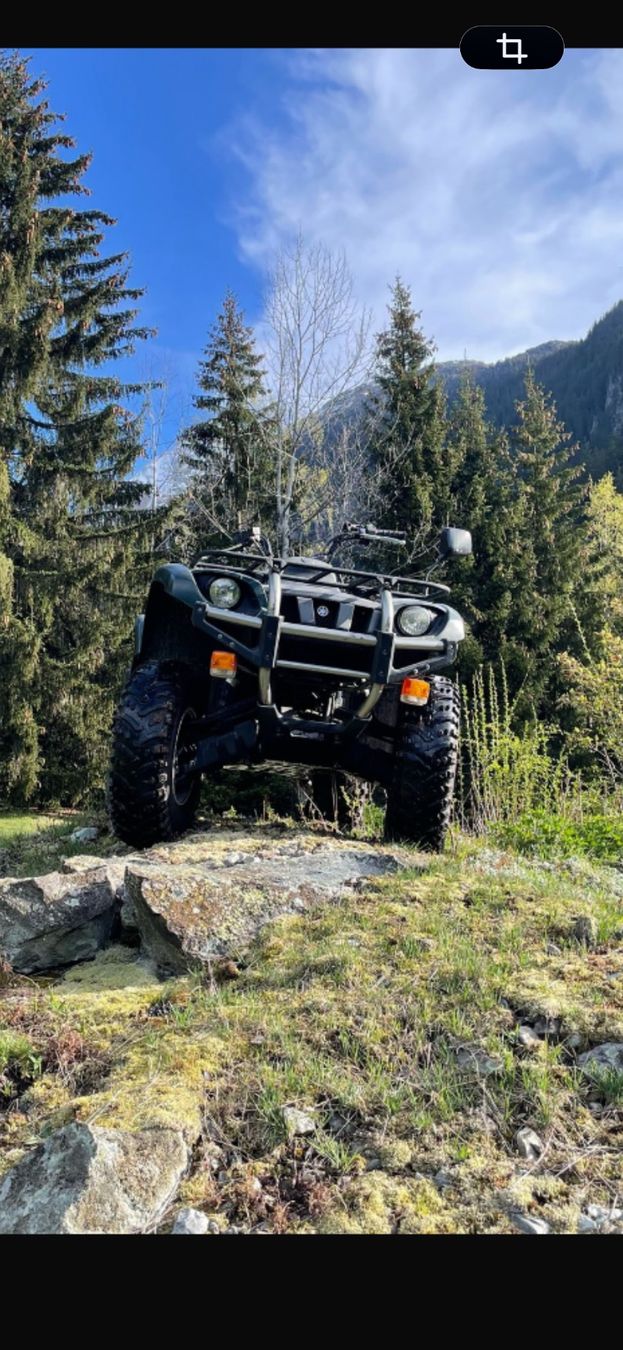 Yamaha ATV / Quad: Yamaha Quad Grizzly 660 – Usato da Zizers venduto da boomer76101
