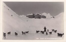 Grand St. Bernard VS // Hospice Hunde Winter hiver chiens