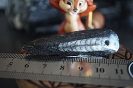 Orthoceras Anhänger 61   ab  1.-     Räumung