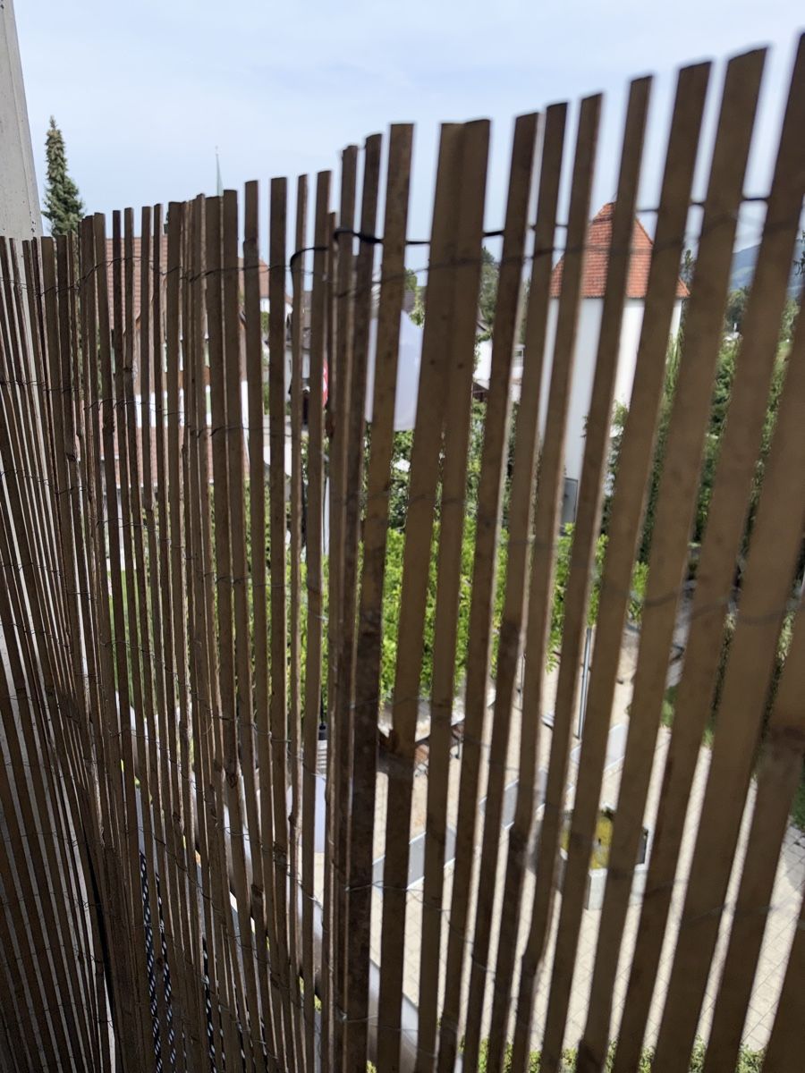 Sichtschutz: Bambus Sichtschutzzaun – Gebraucht aus Mörschwil von Seegurke18 3