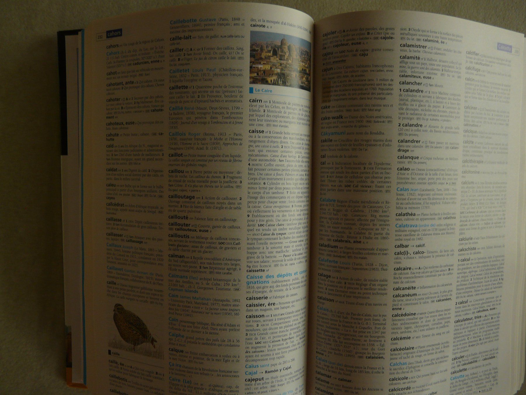 Libri: Dictionnaire Hachette 2011 – Usato da ERLINSBACH venduto da doudouce 1