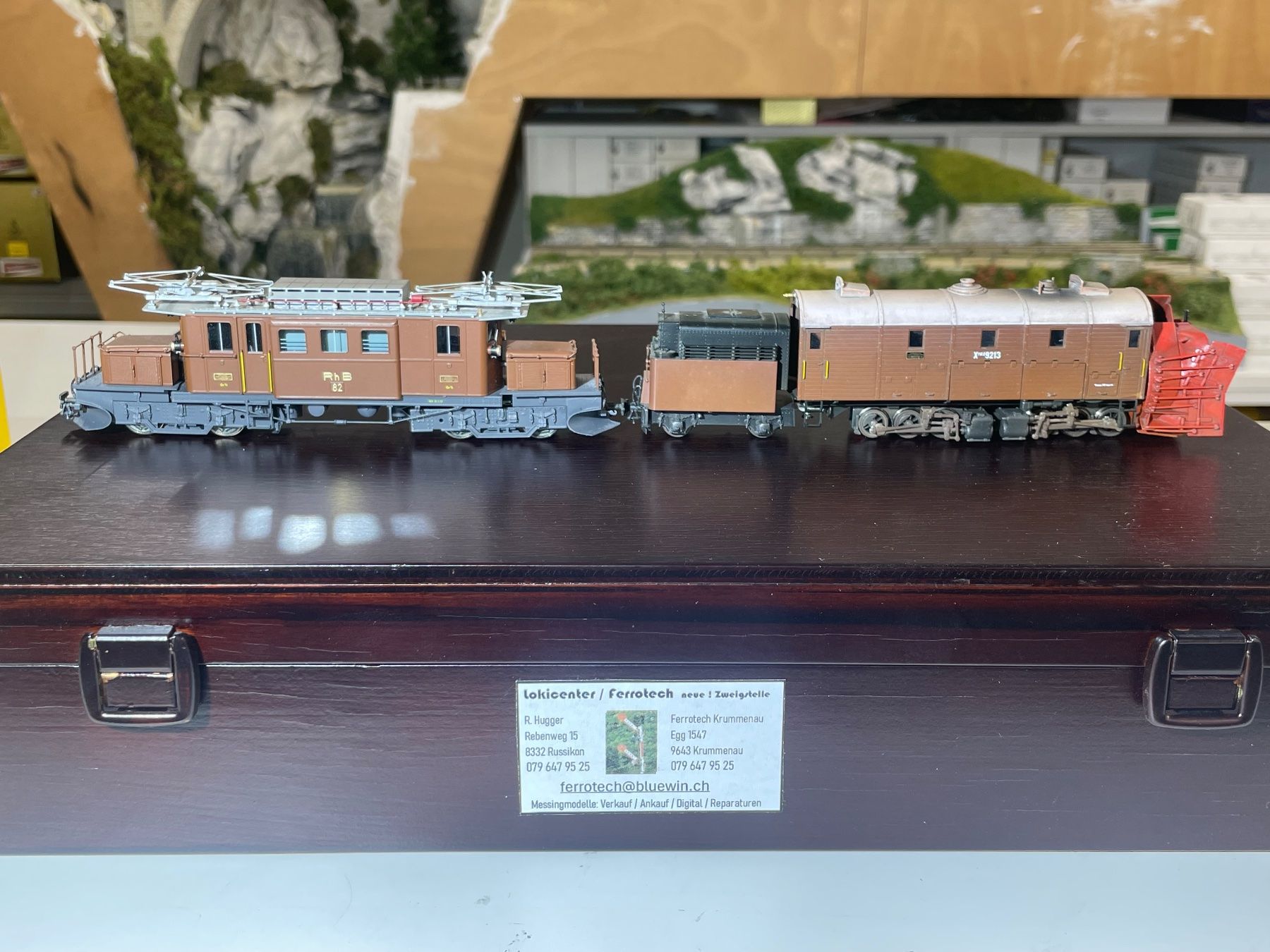 Ferro-suisse Modellini di ferrovie: Ferro Suisse / Bemo Metal, Bernina-Set E – Usato da Hofstetten ZH venduto da kroki66 7