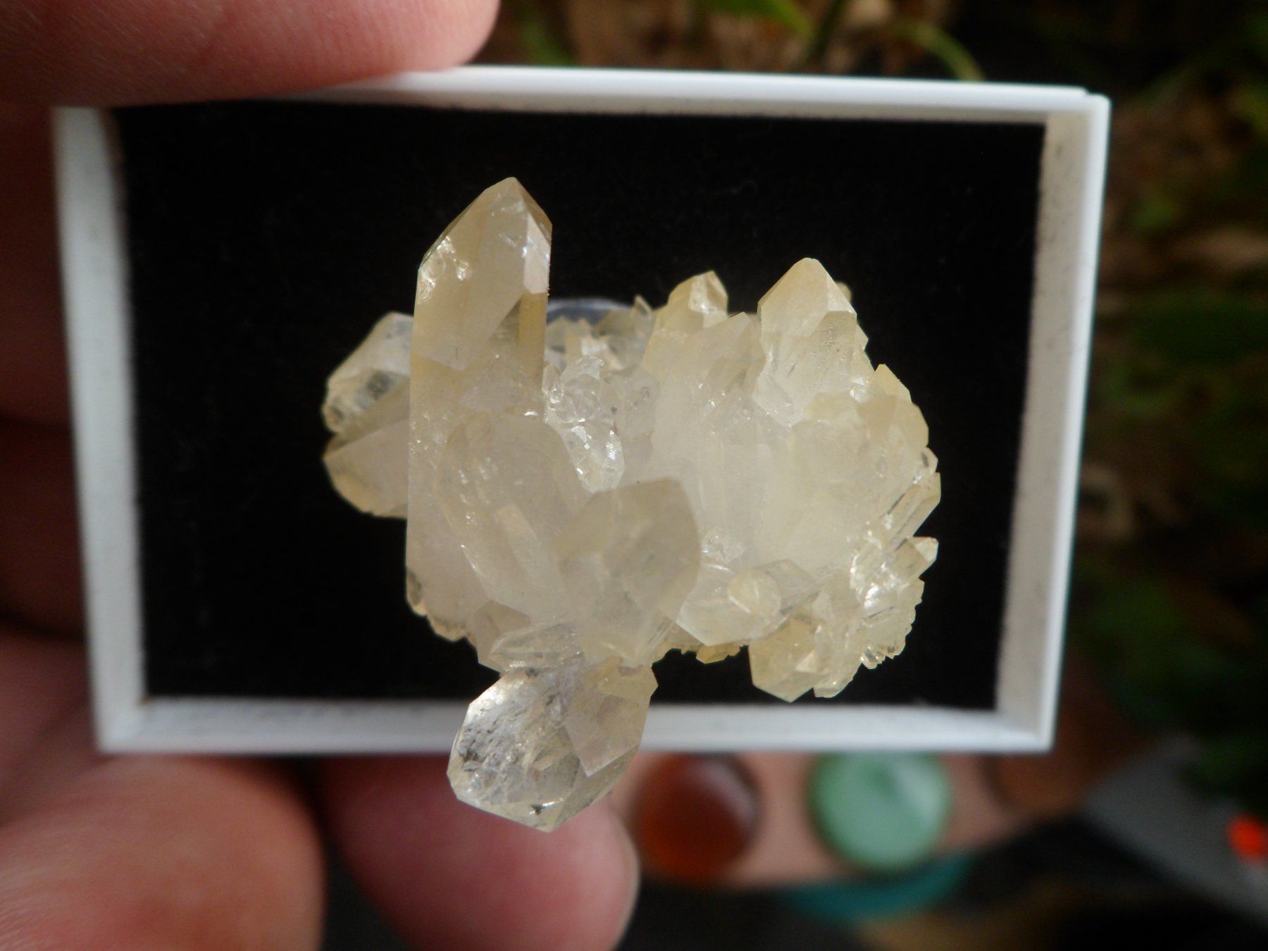 Mineralien & Heilsteine: Bergkristall Schinschlucht – Neu (gemäss Beschreibung) aus Affoltern am Albis von Fossil60 4