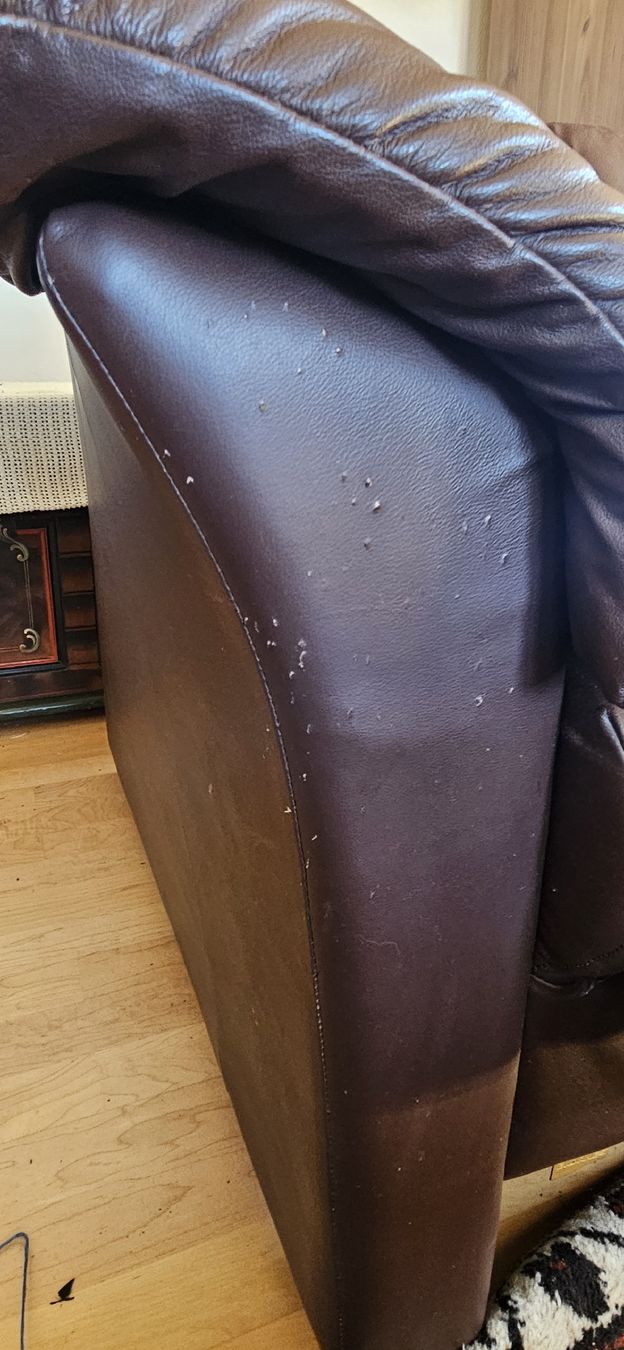 Divani: Ekornes Vintage Ledercouch Sofa – Usato da Belp venduto da Ginus85 9