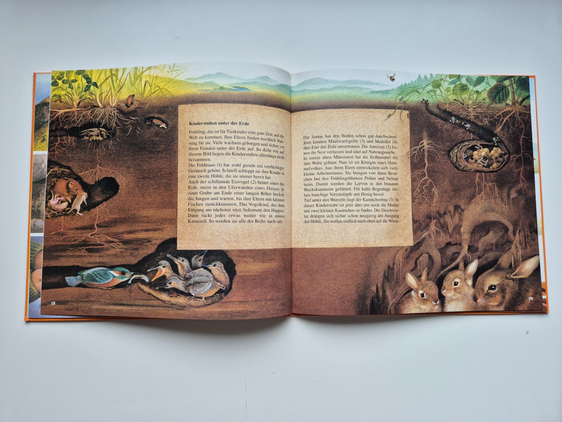 Libri: Die Erd Uhr                 Una Jacobs – Usato da Niederweningen venduto da Obson 5