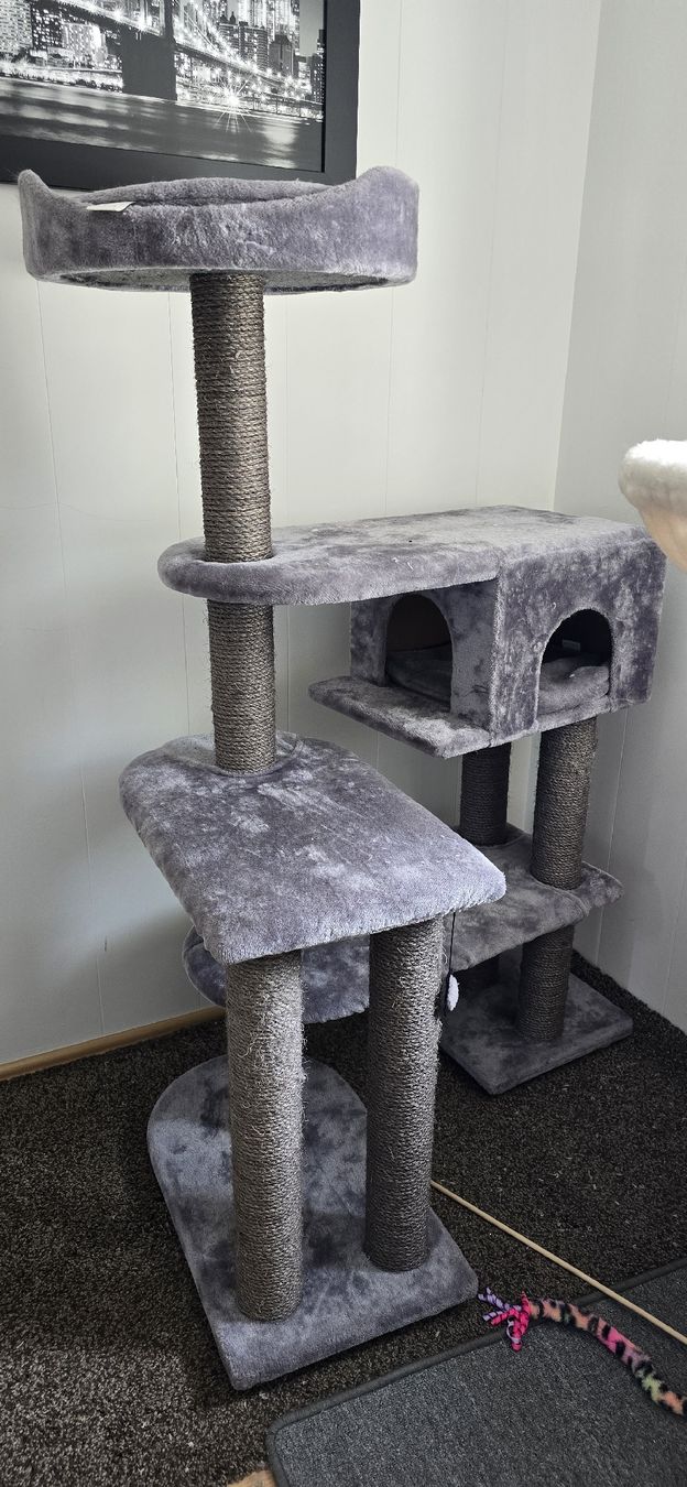 Tiragraffi: katzenzubehör – Usato da Au SG venduto da nic_j9pl