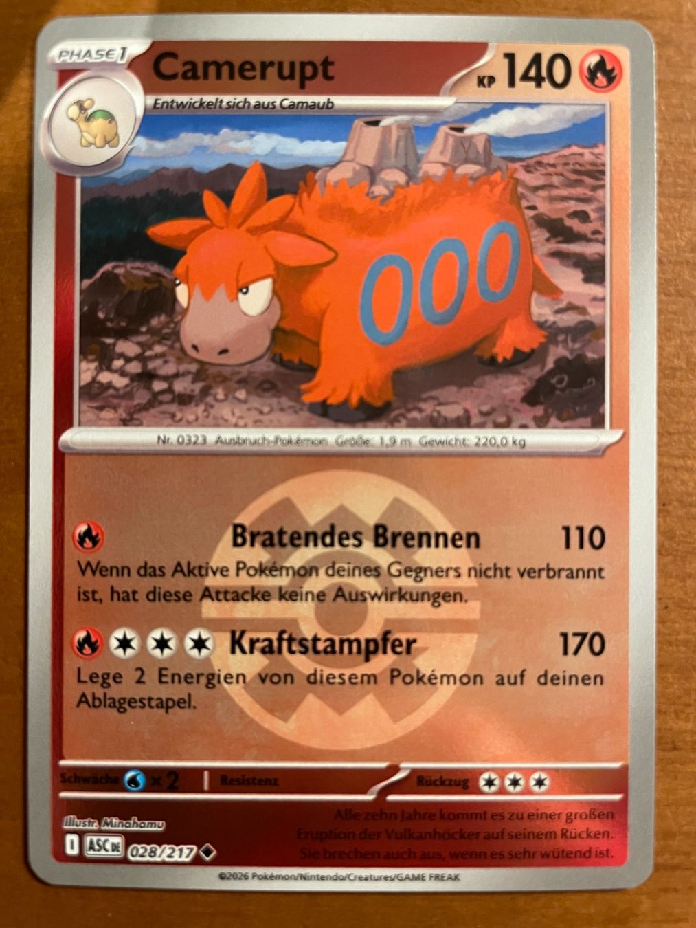 Pokémon Carte collezionabili: Pokemon Camerupt Reverse (Versand gratis) – Nuovo (secondo la descrizione) da Chur venduto da Angerson