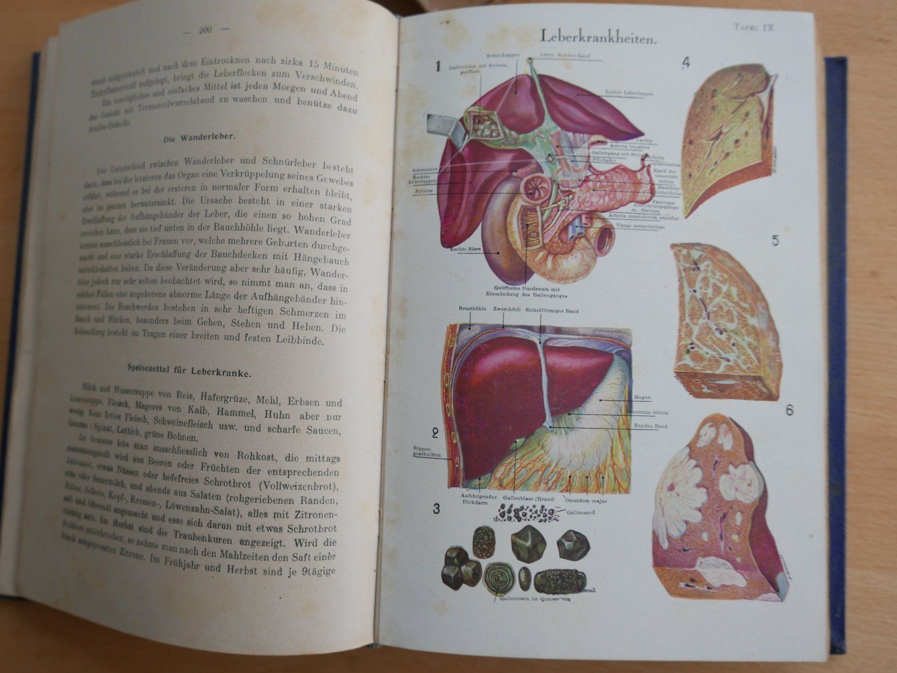 Libri: Antikes Buch "Selbsthilfe", mit Illustrationen – Usato da Rotkreuz venduto da nigal 5
