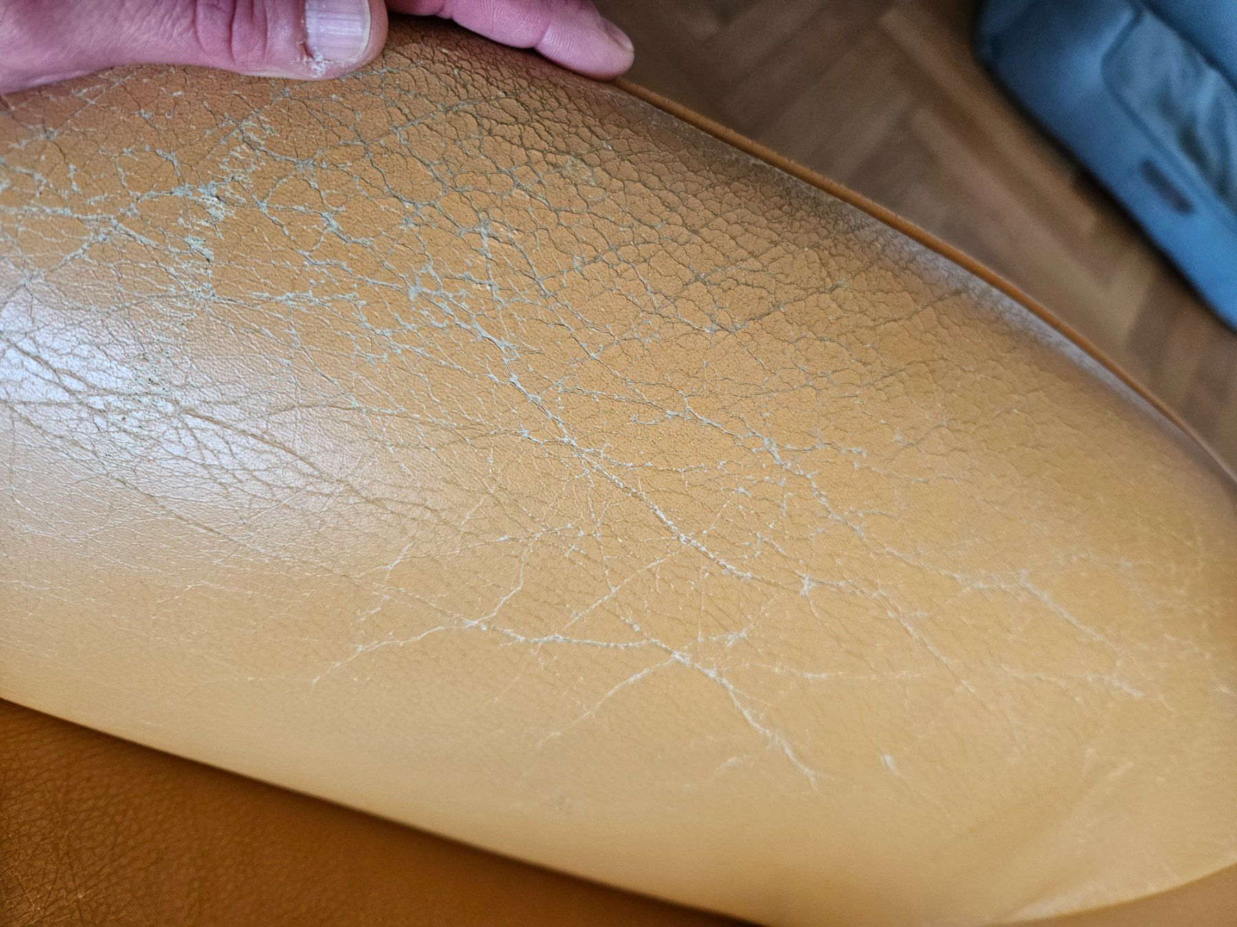 Poltrone: Ledersessel – Usato da Hausen am Albis venduto da m.mue13 5