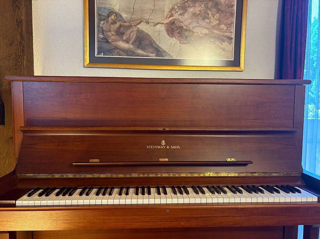 Strumenti musicali: STEINWAY & SONS V-125 Modell in Nussbaum – Usato da Neuenhof venduto da bkolarov 4