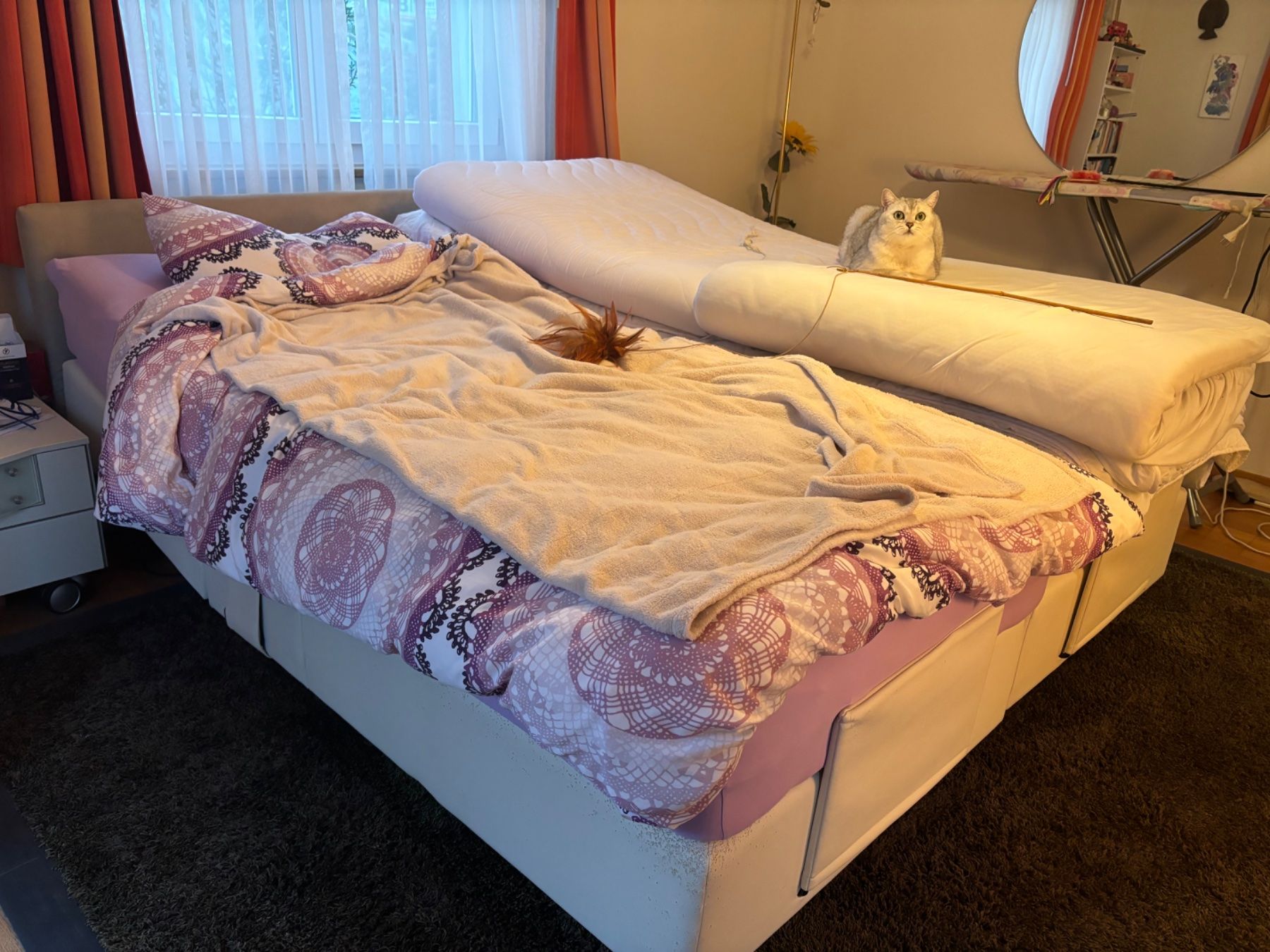 Letti: Boxspringbett elektronisch kipp und verstellbar – Usato da Adliswil venduto da Rai_ki 1