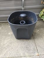 1 Wasserspeichertopf Ikea