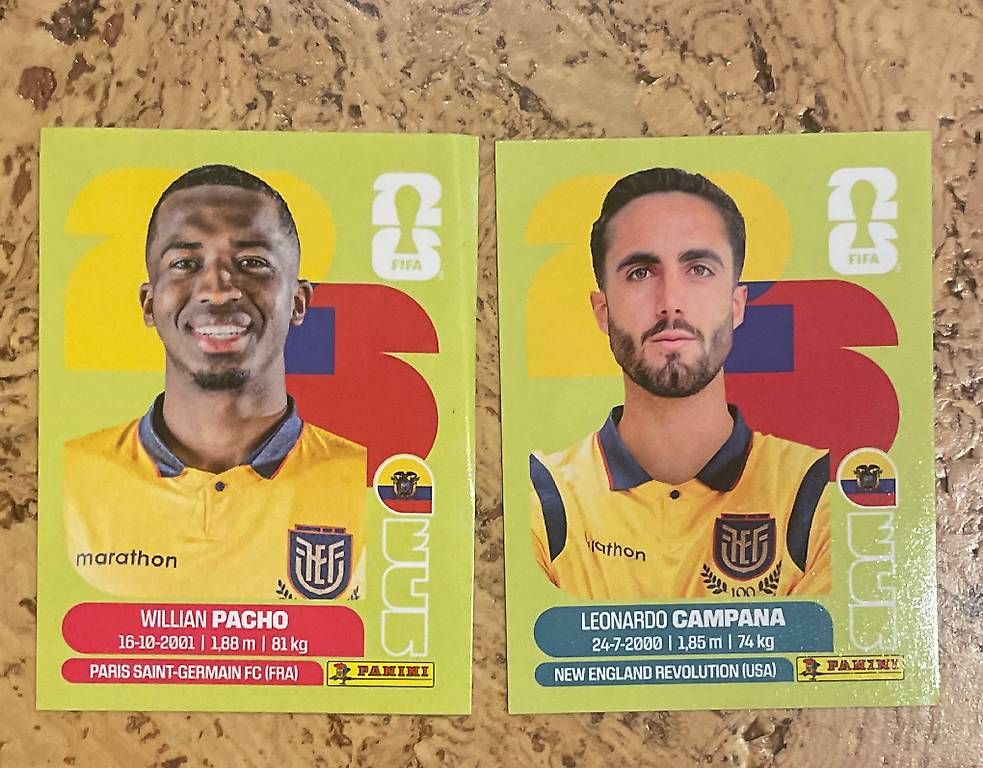 Cartes à collectionner: Fussball Sammelkarten  – D'occasion à Unterseen par Panini56